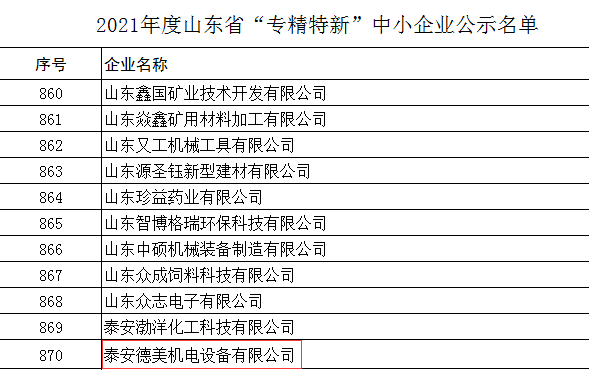 喜报丨泰安德美荣获山东省“专精特新”企业荣誉称号！