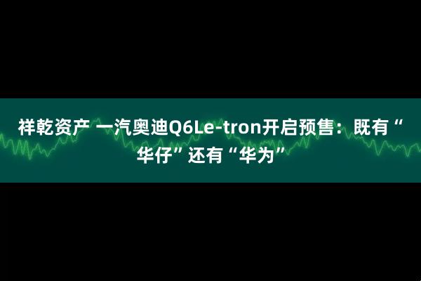 祥乾资产 一汽奥迪Q6Le-tron开启预售：既有“华仔”还有“华为”