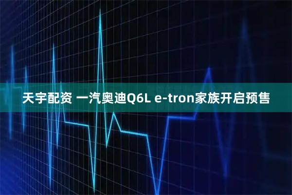 天宇配资 一汽奥迪Q6L e-tron家族开启预售