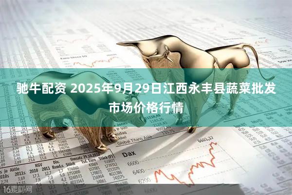 驰牛配资 2025年9月29日江西永丰县蔬菜批发市场价格行情