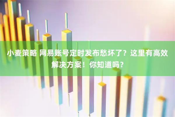 小麦策略 网易账号定时发布愁坏了？这里有高效解决方案！你知道吗？